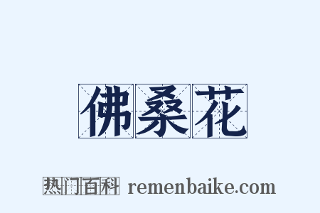 佛桑花是什么意思的图片